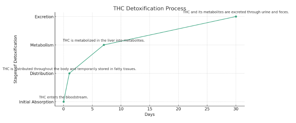 THC Calculator detoxification chart