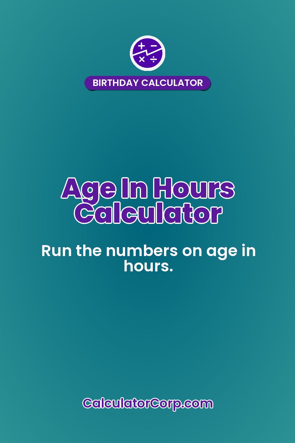 Age In Hours Calculator