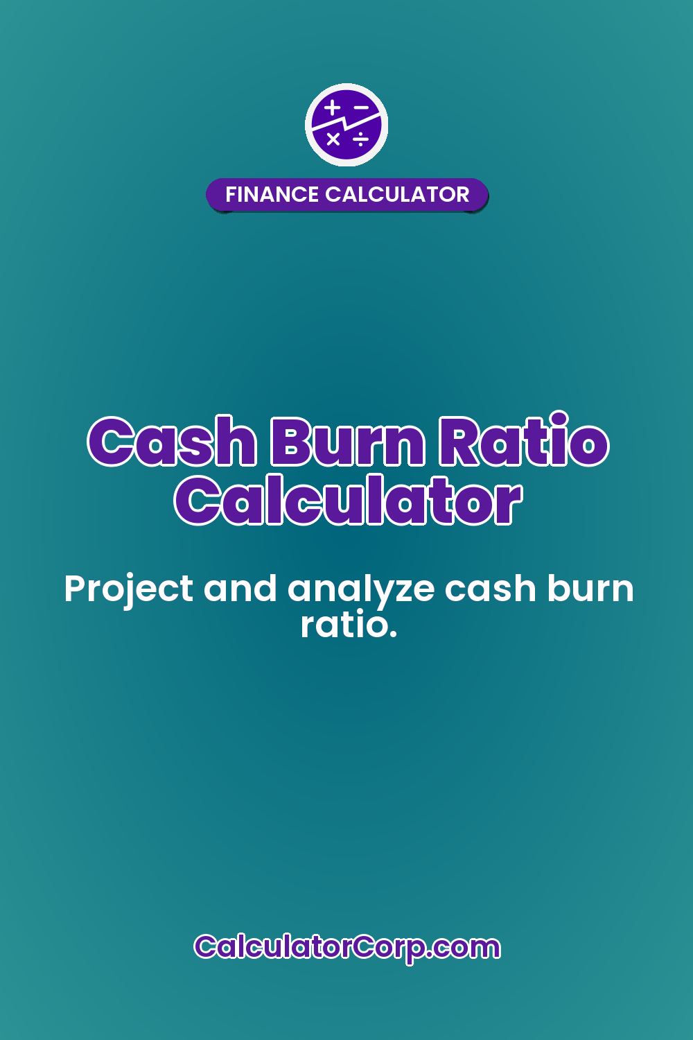 Cash Burn Ratio Calculator