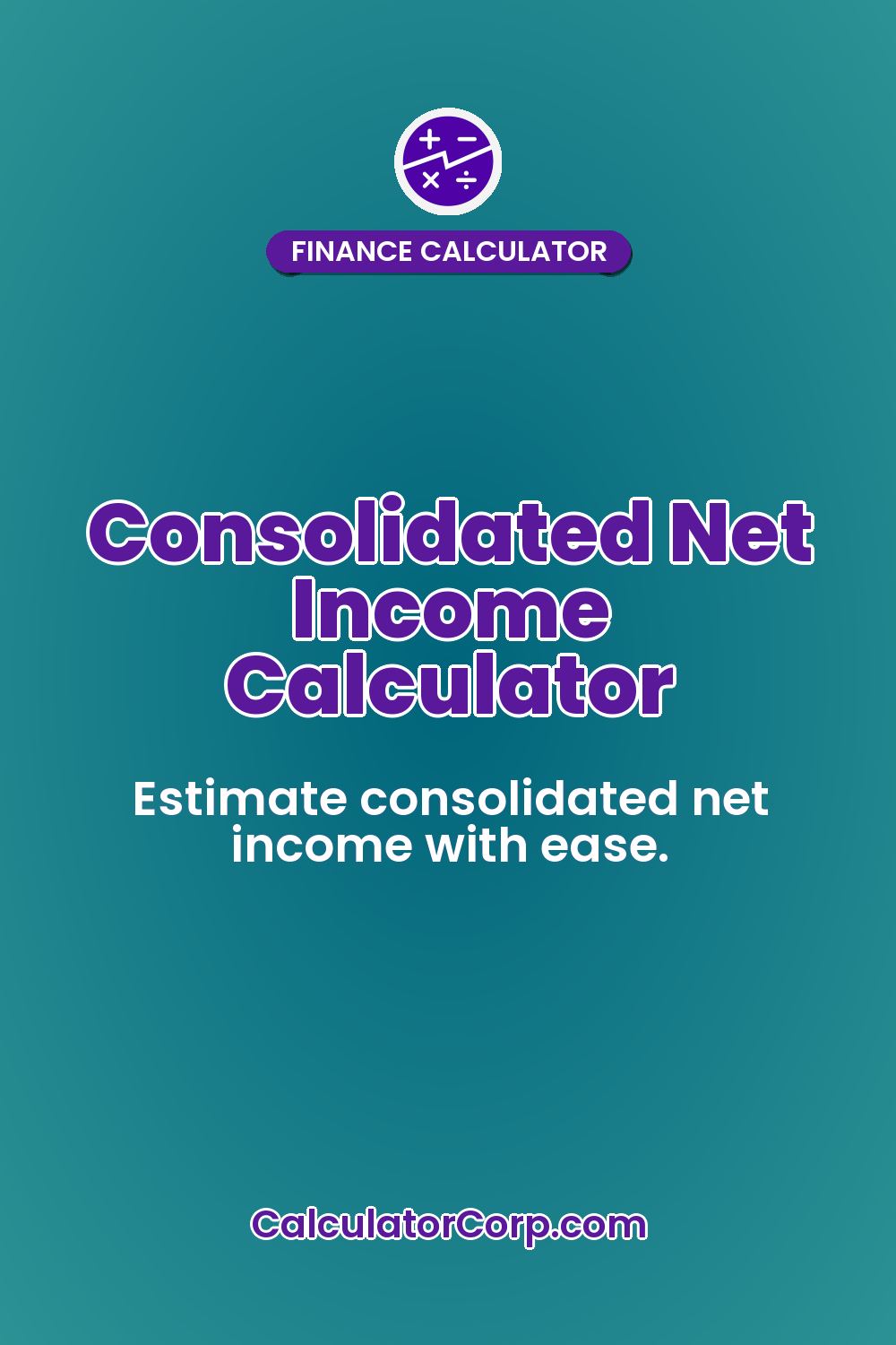 Consolidated Net Income Calculator