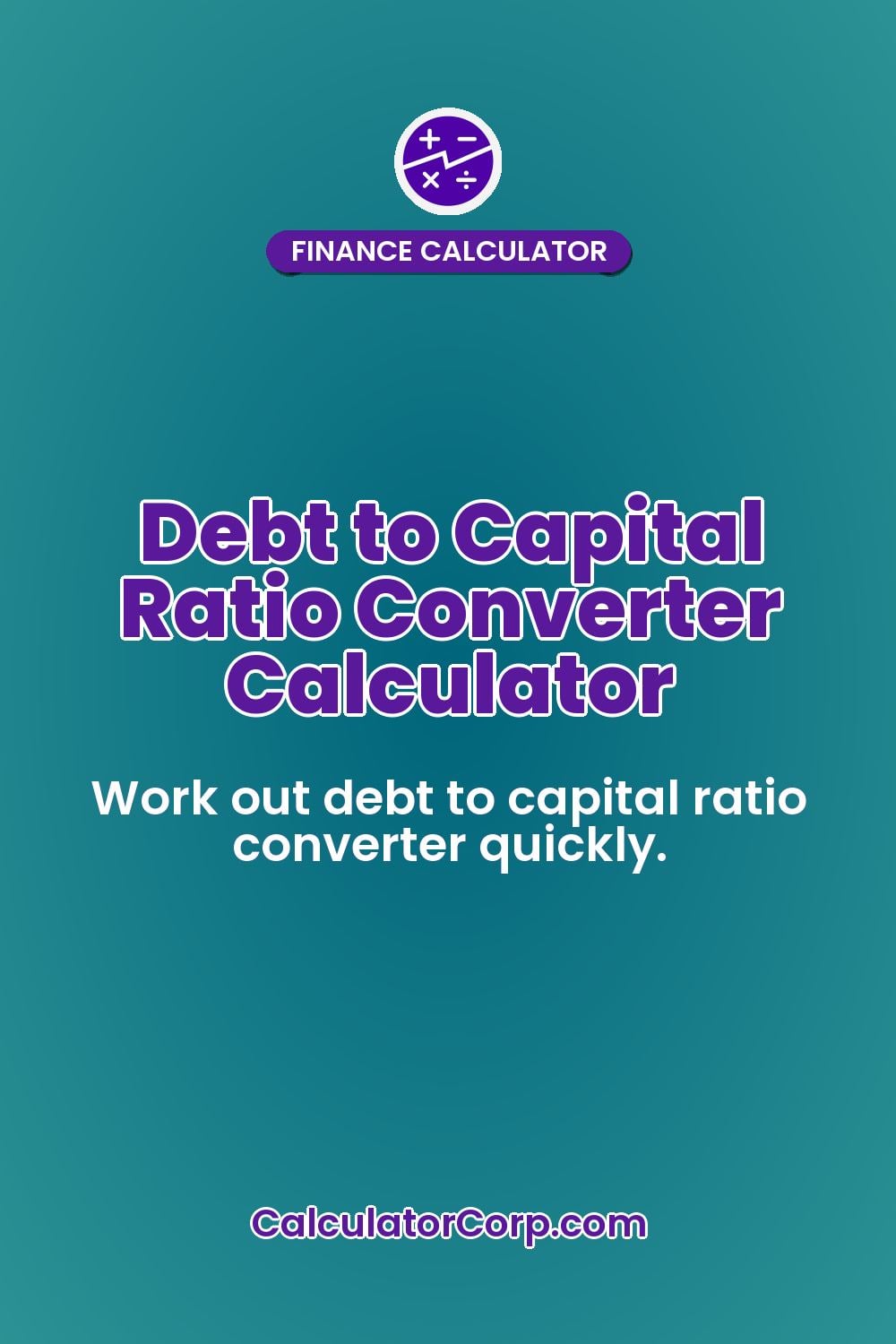 Debt to Capital Ratio Converter Calculator
