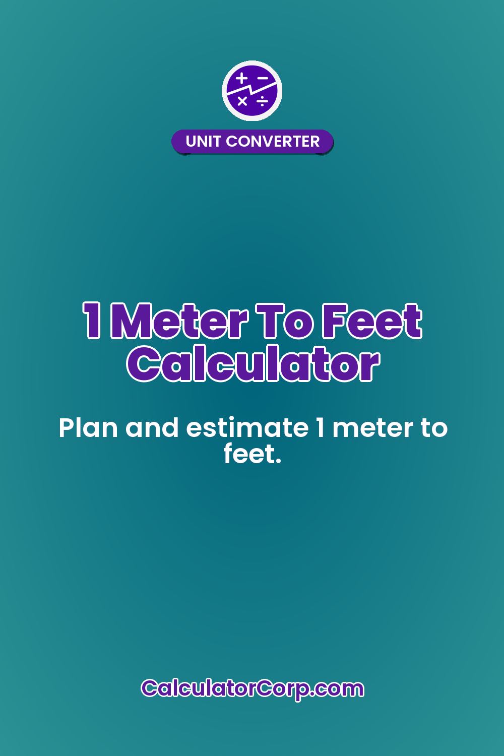 1 Meter To Feet Calculator