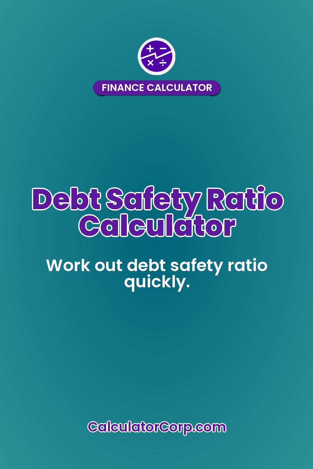 Debt Safety Ratio Calculator