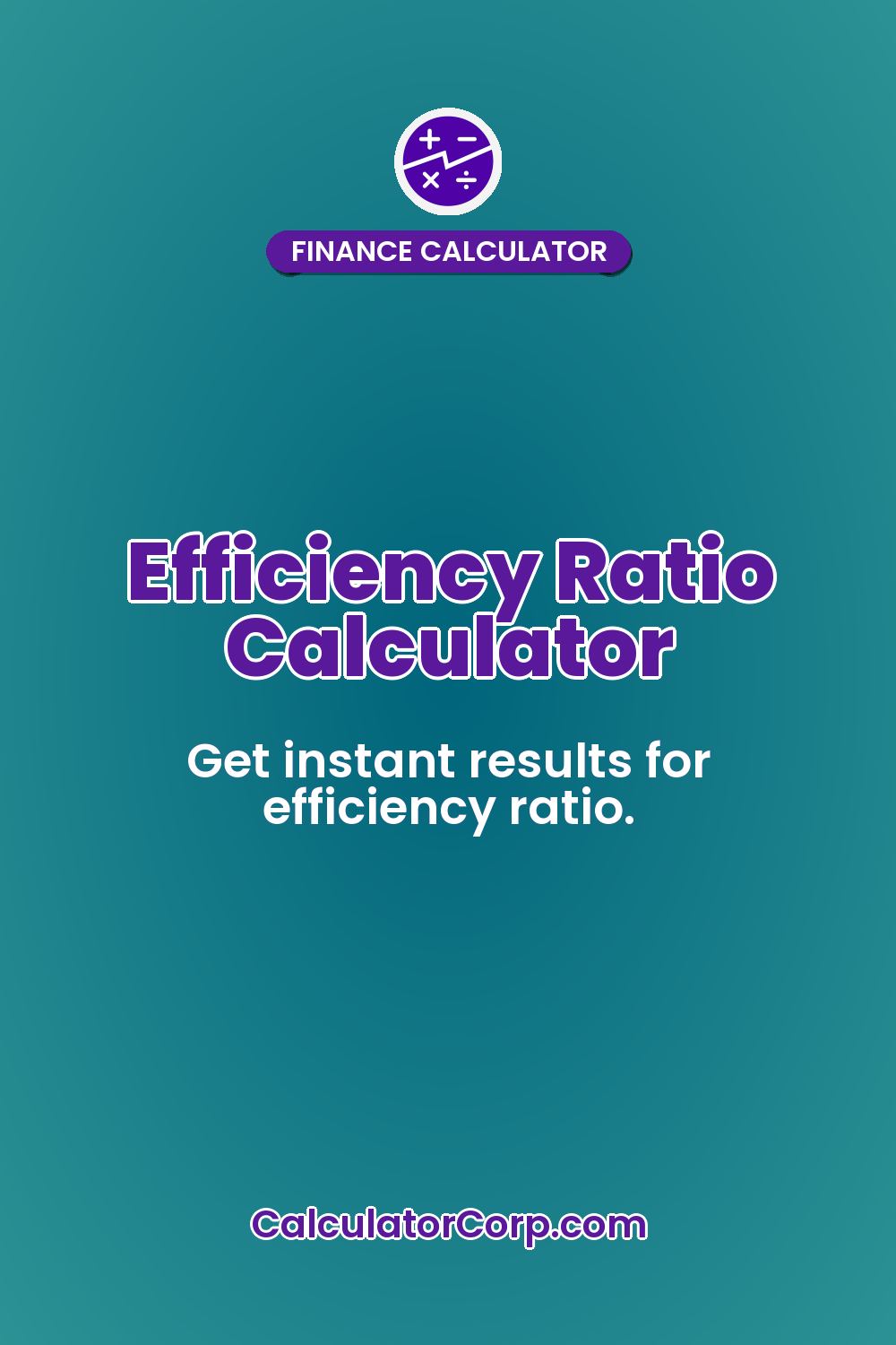Efficiency Ratio Calculator