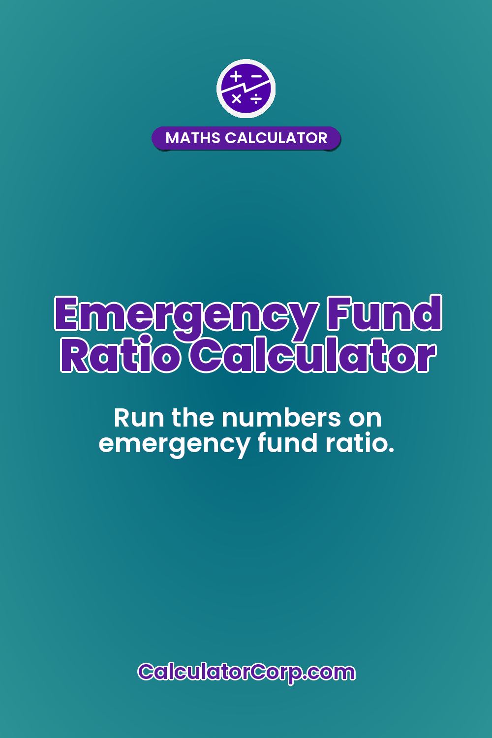 Emergency Fund Ratio Calculator