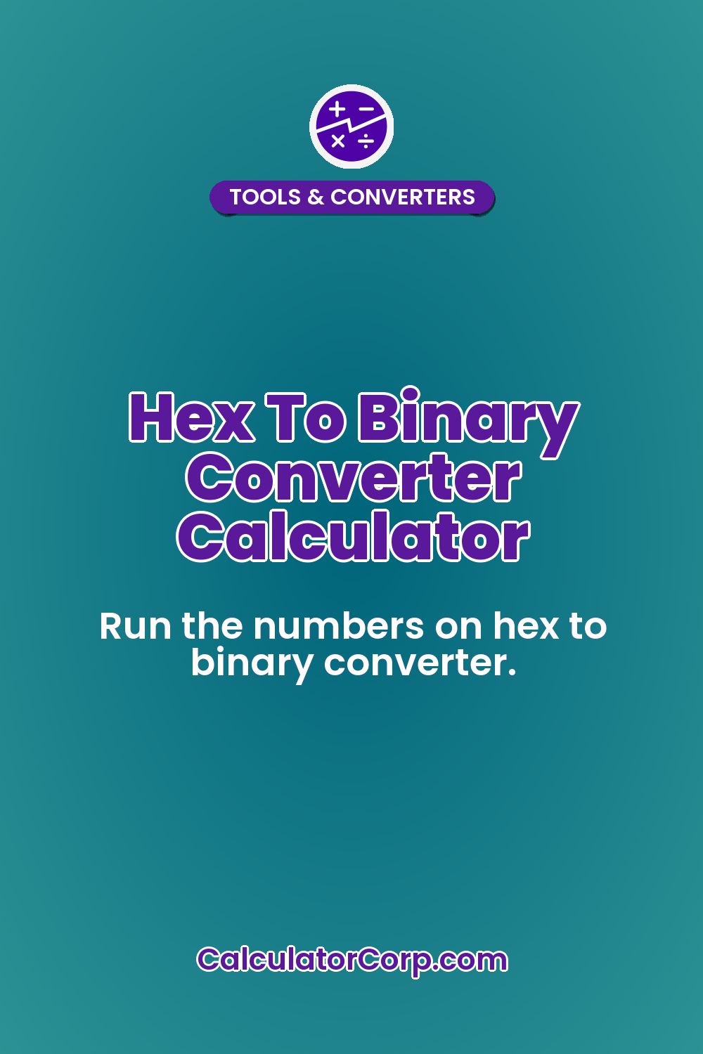 Hex To Binary Converter Calculator