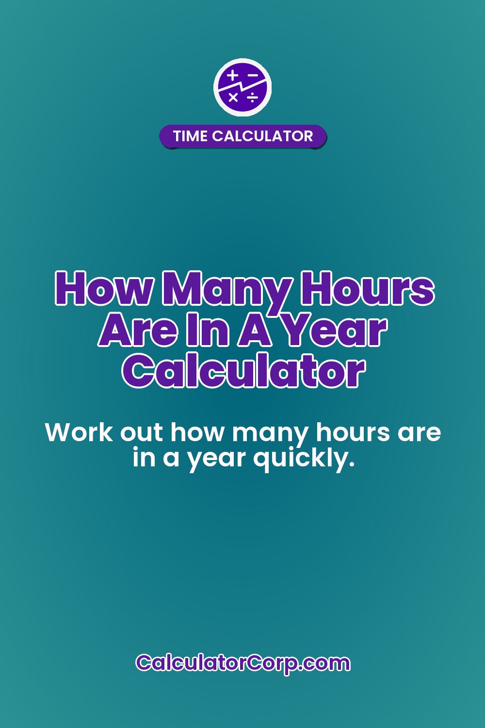 How Many Hours Are In A Year Calculator