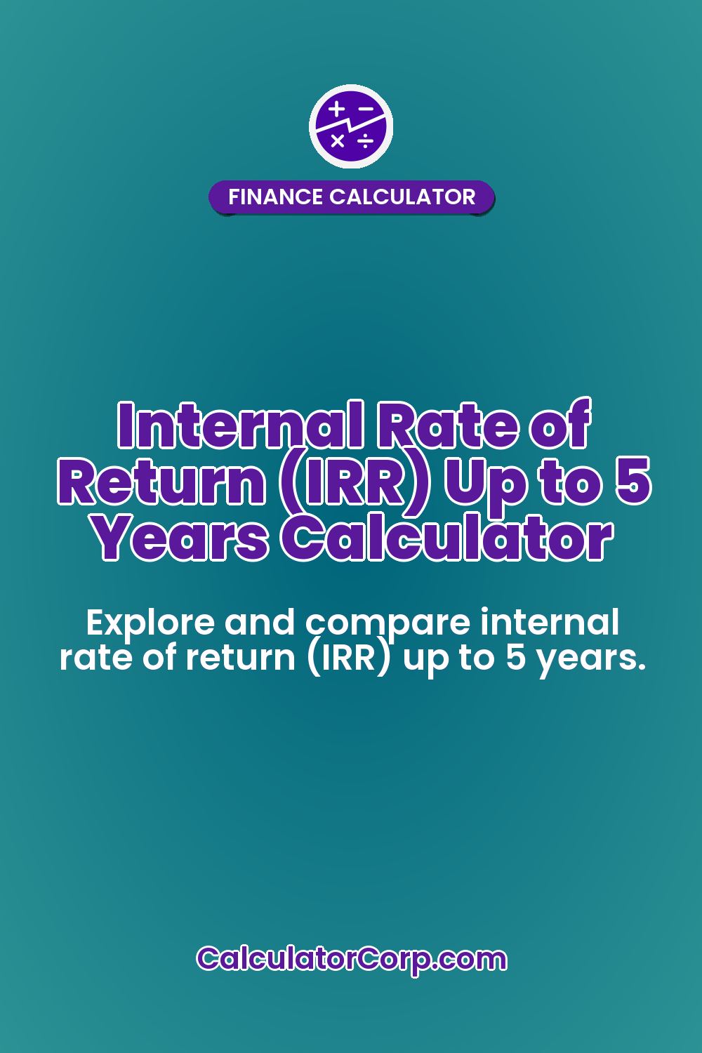 Internal Rate of Return (IRR) Up to 5 Years Calculator